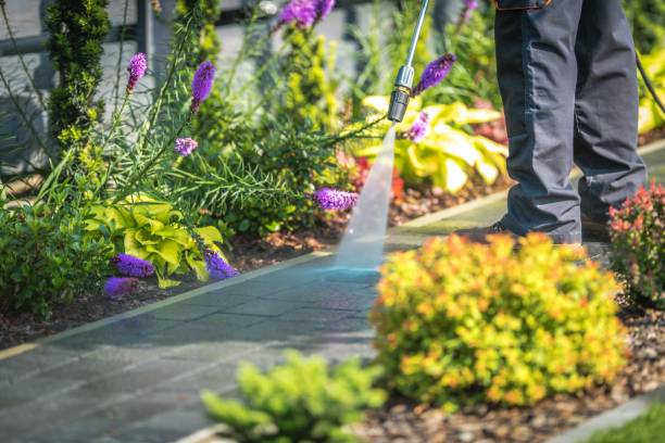 Best Sidewalk and Walkway Cleaning  in Green Valley, CA